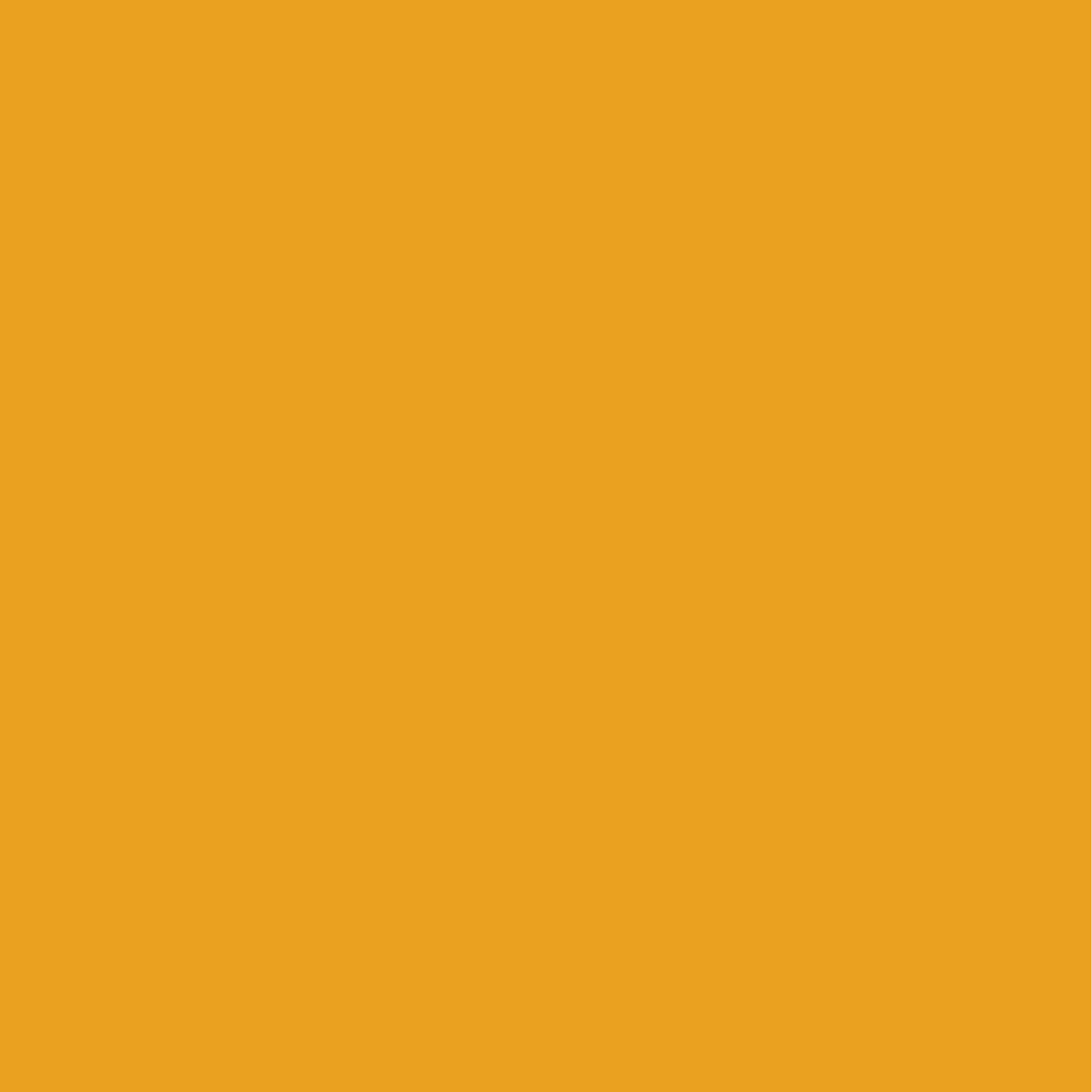 Yellow shirt color swatch